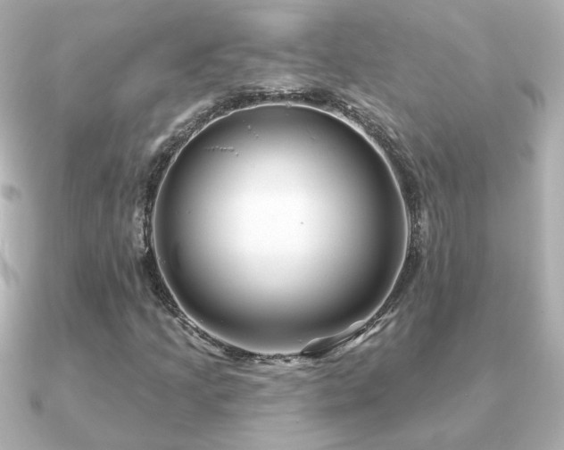 X0000091191205200708091243