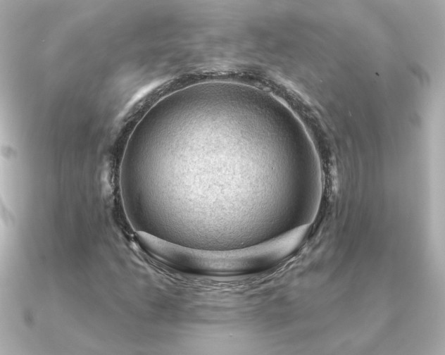 X0000091191206200708091243