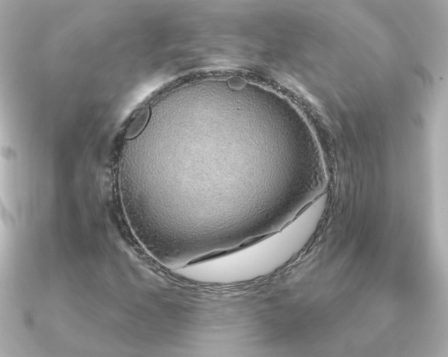 X0000091191208200708091243