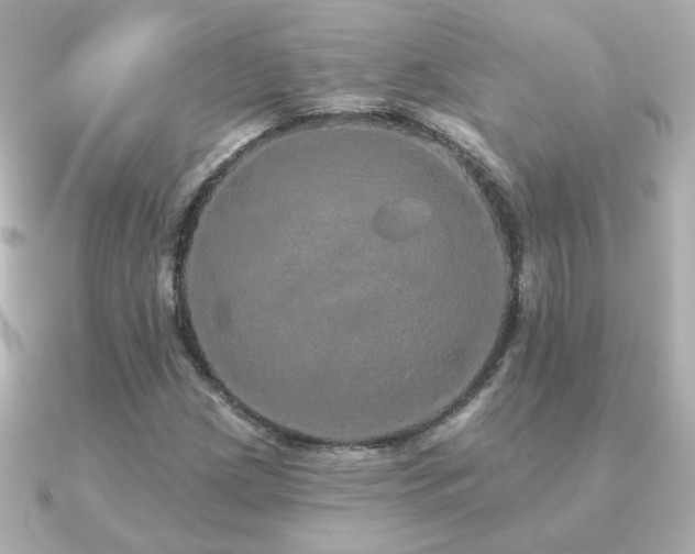 X0000091191209200708091243