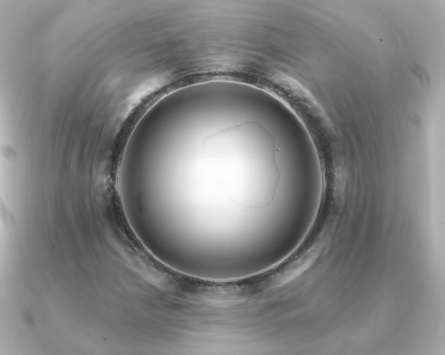 X0000091191210200708091243