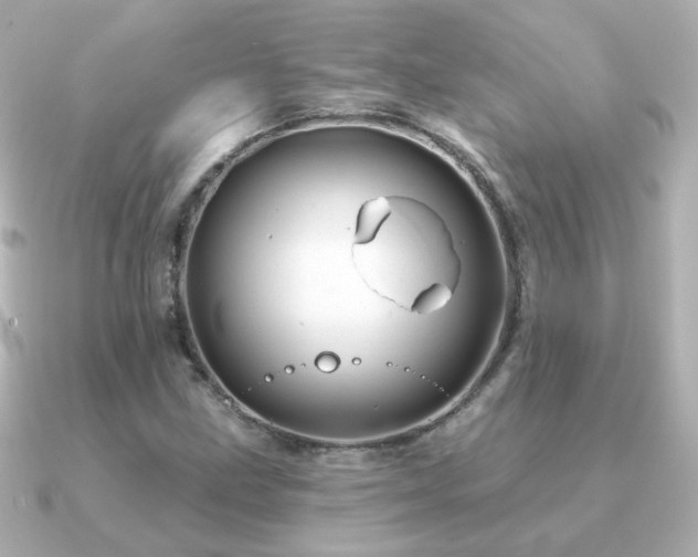 X0000091191211200708091243