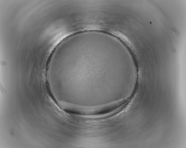 X0000091191212200708091243