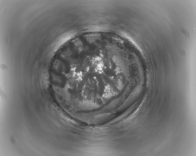 X0000091191213200708091243