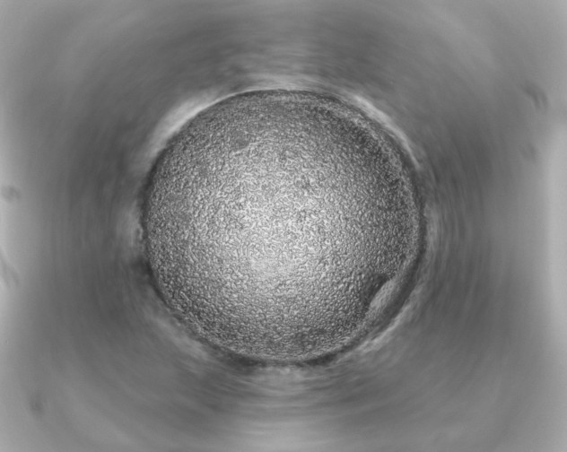 X0000091191215200708091243