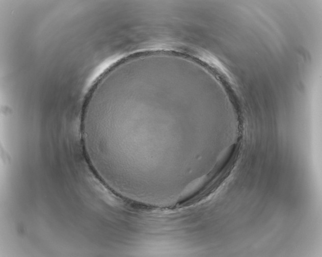 X0000091191216200708091243
