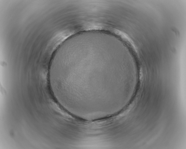 X0000091191217200708091243