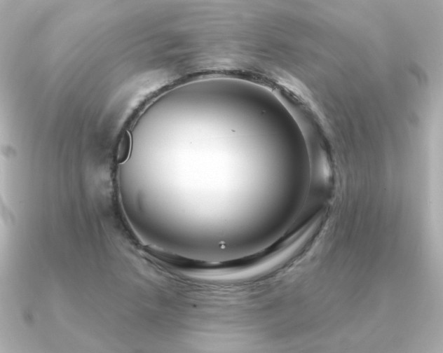 X0000091191218200708091243