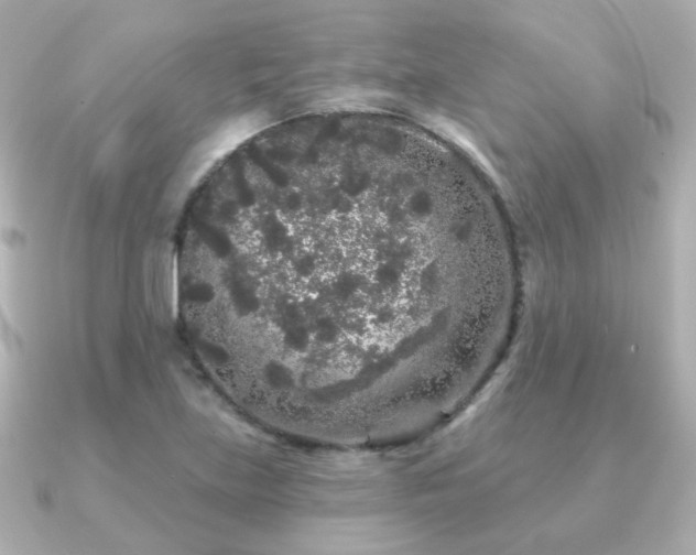 X0000091191219200708091243