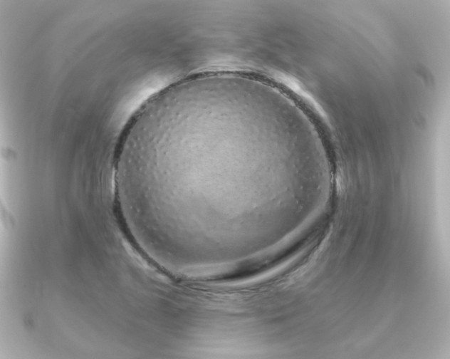 X0000091191221200708091243