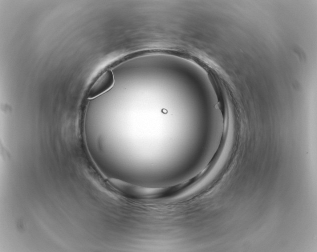 X0000091191222200708091243