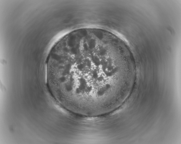 X0000091191223200708091243