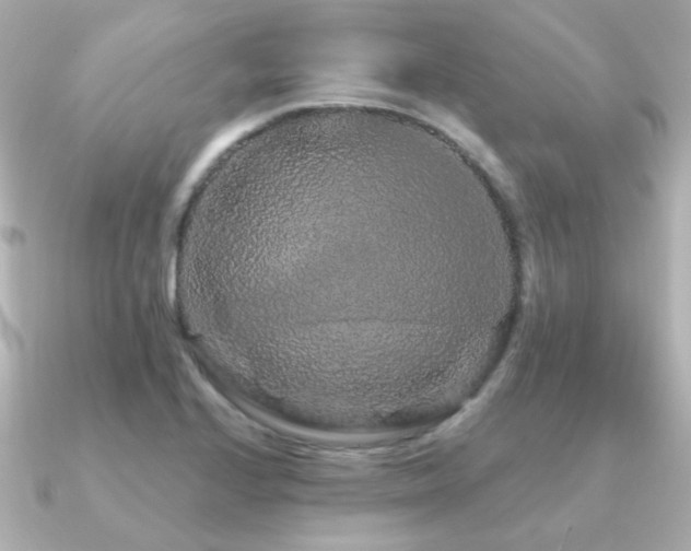 X0000091191224200708091243