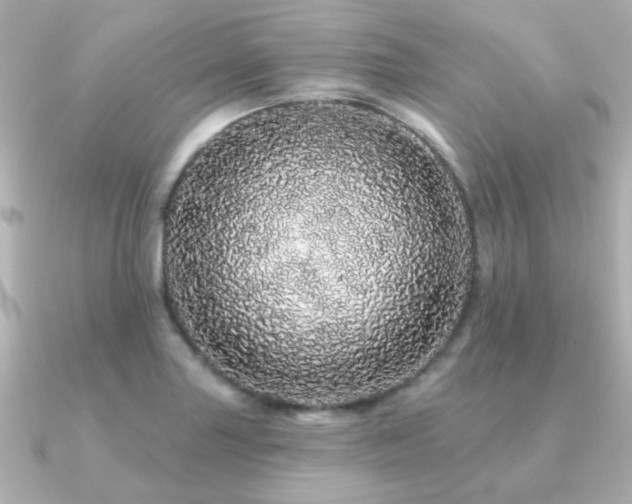X0000091191227200708091243