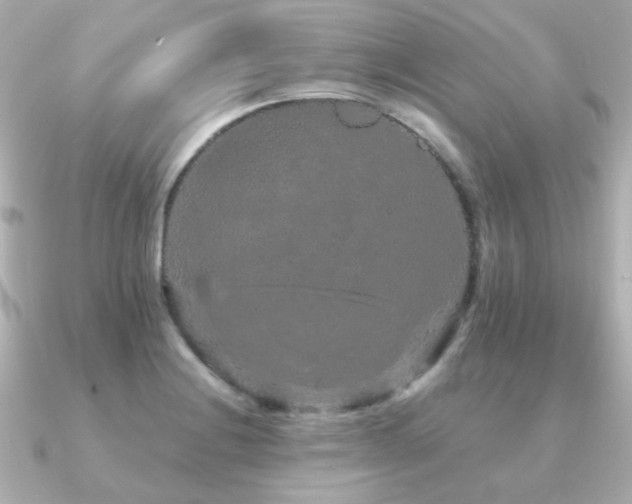 X0000091191228200708091243