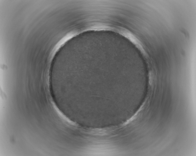 X0000091191229200708091243