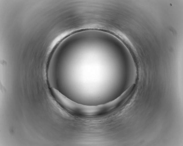 X0000091191230200708091243