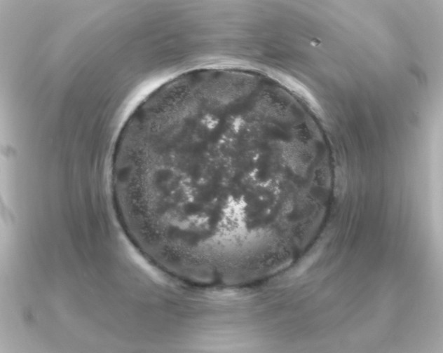 X0000091191231200708091243