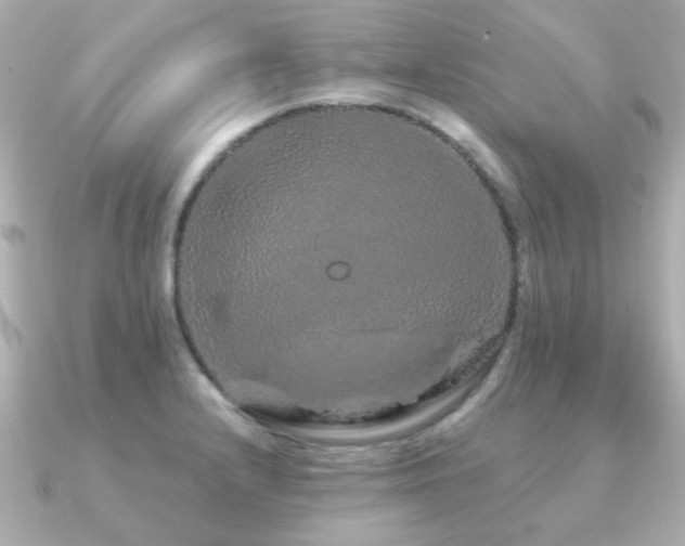 X0000091191232200708091243