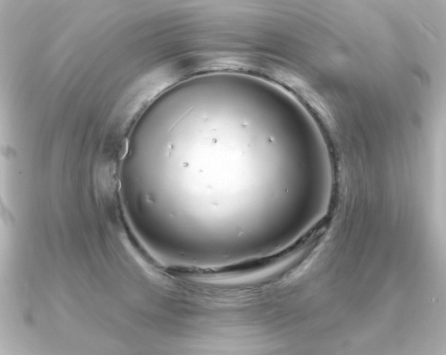 X0000091191233200708091243