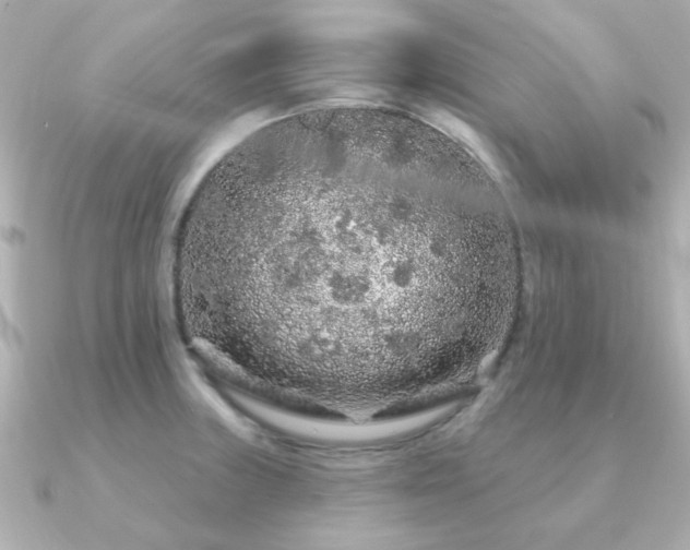X0000091191235200708091243