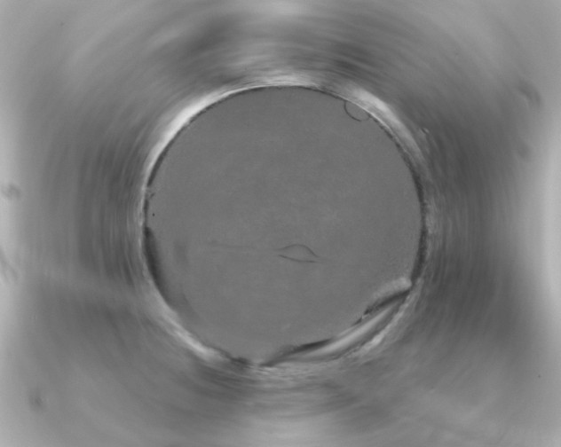 X0000091191236200708091243