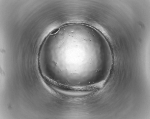 X0000091191237200708091243