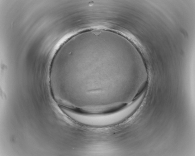 X0000091191240200708091244