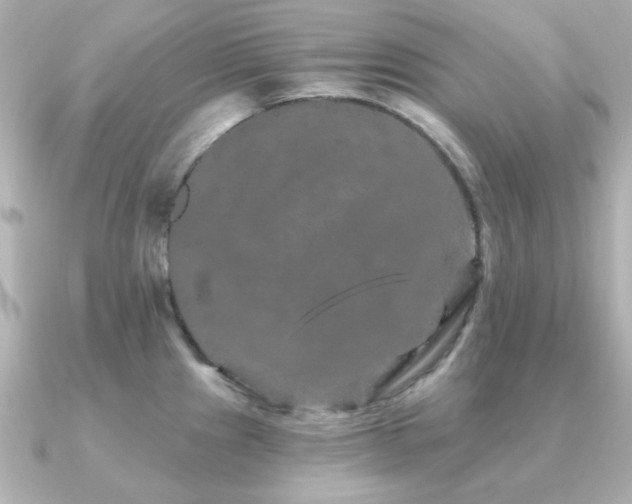 X0000091191241200708091244
