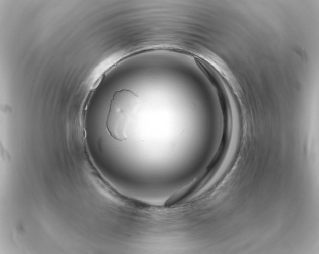 X0000091191242200708091244