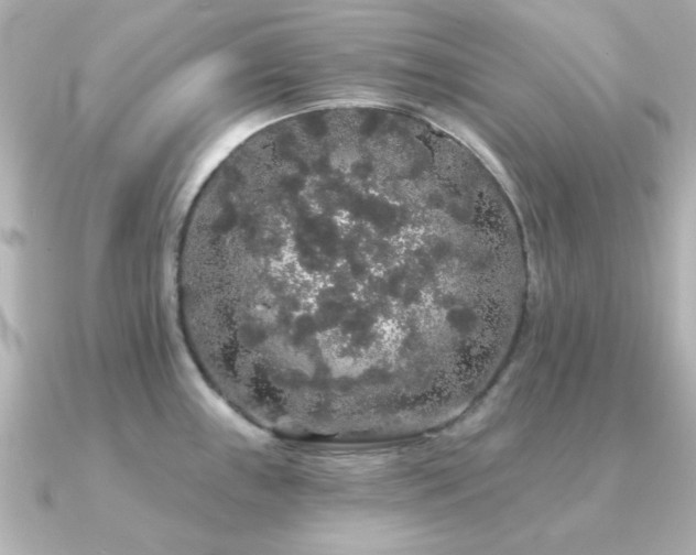 X0000091191243200708091244
