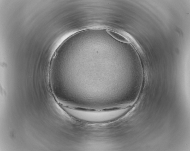 X0000091191244200708091244