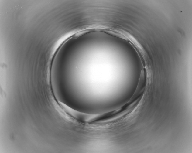 X0000091191246200708091244