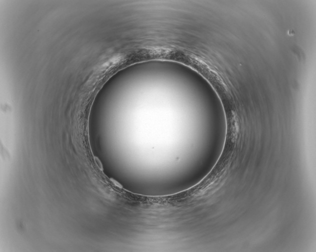 X0000091191249200708091243