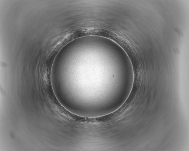 X0000091191250200708091243