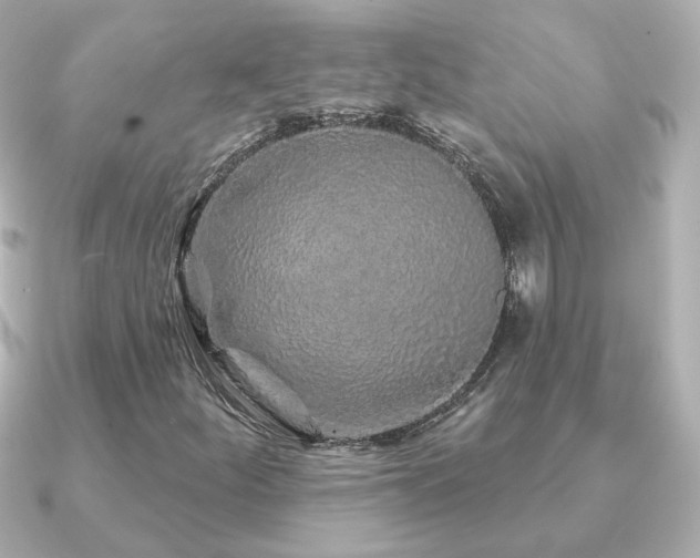 X0000091191252200708091243