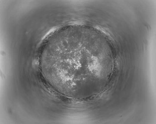 X0000091191254200708091243