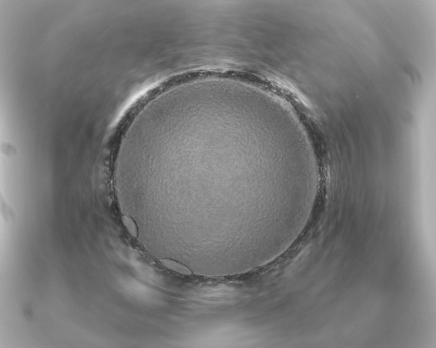 X0000091191256200708091243