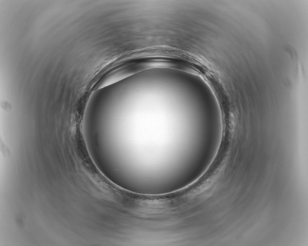 X0000091191257200708091243
