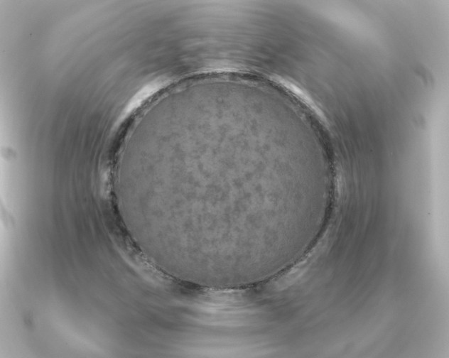 X0000091191258200708091243
