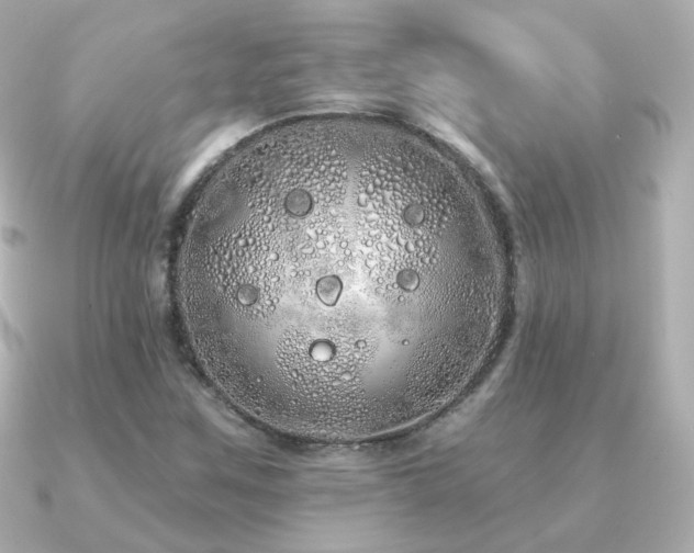 X0000091191259200708091243