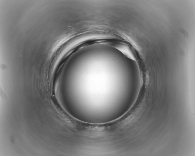 X0000091191261200708091243