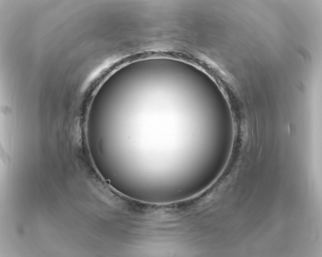 X0000091191262200708091243