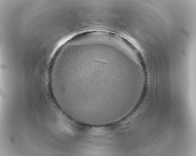 X0000091191264200708091243