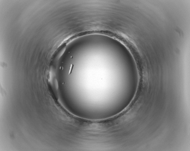 X0000091191265200708091243