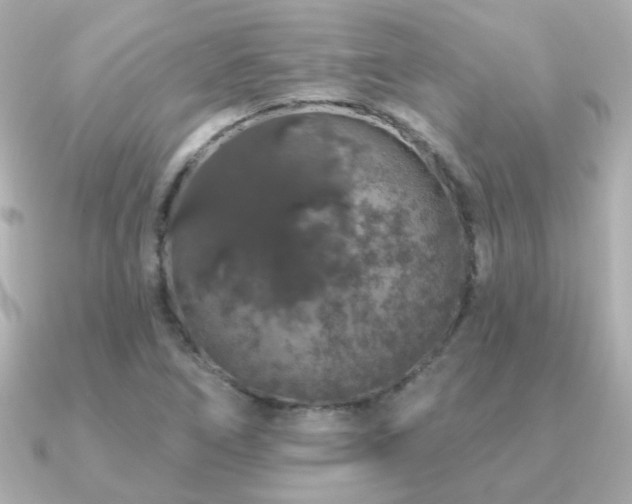 X0000091191266200708091243