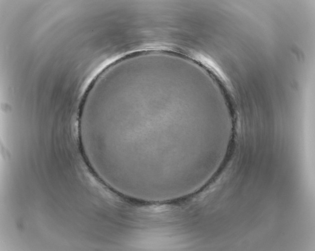 X0000091191268200708091243