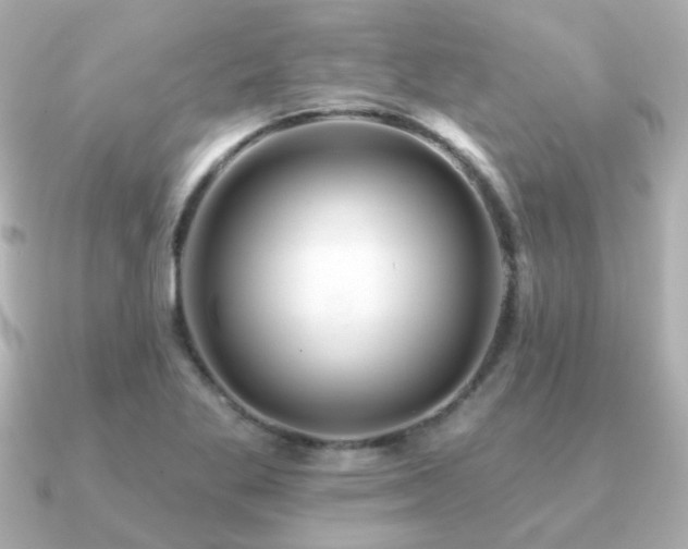 X0000091191269200708091243