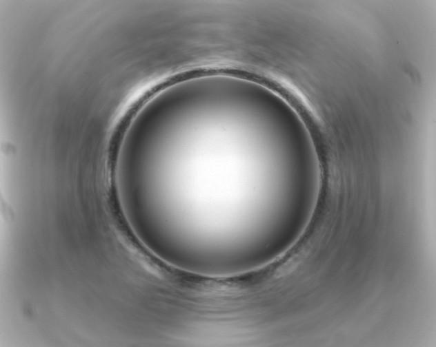 X0000091191270200708091243