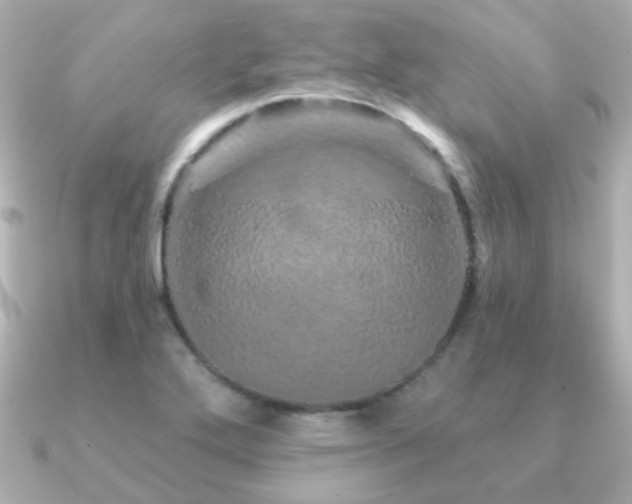 X0000091191272200708091243